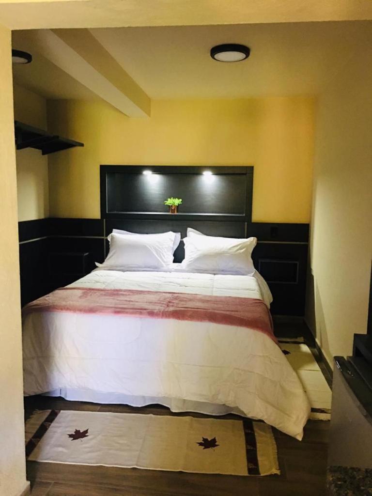 Morada Rancho Da Lua Homestay